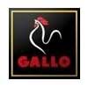 gallo.jpg